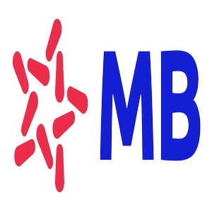 Logo ngân hàng MB